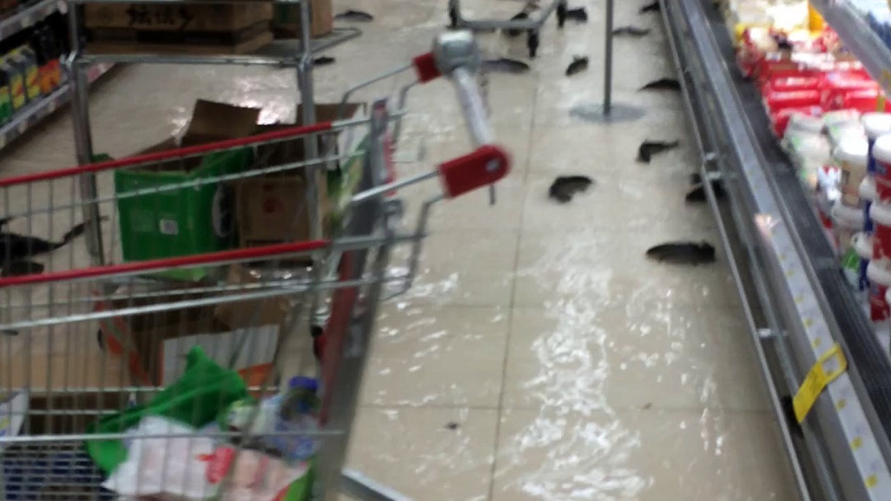 Savāds skats! Pa lielveikala grīdu peld zivis
