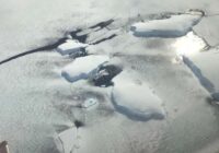 Pirmais video, kas parāda, kas notiek zem Antarktīdas ledājiem. Lūk, kāda ir dzīve zem bieza ledus