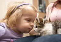 Divus gadus veca meitene bez rokas adoptēja kaķēnu ar trīs ķepām – starp abiem mazuļiem radās īpaša saikne