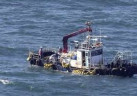 Japāna apgalvo, ka Fukušimas zivīs radioaktivitāte nav konstatēta
