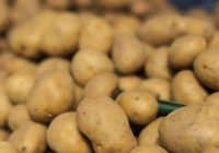 Kā uzglabāt kartupeļus pagrabā, lai tie nepūst: noderīgs triks