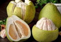 Kā izvēlēties garšīgu pomelo?