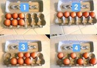 Ievietojiet olas kastītē: tests, kas noteiks raksturu un temperamentu