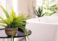 Top-5 augi, kuriem būtu jābūt ikvienā vannas istabā: tas ir pārsteigums