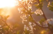2024.gada pavasara ekvinokcija diena: svarīgākās dienas tradīcijas un laimes piesaistīšanas metode