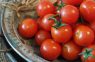 Nosaukts tomātu iecienītākais mēslojums: augšanas stimulators pēc tautas receptes