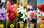 Izvēlieties sev tīkamāko ziedu: tests, kas atklās jūsu personības stipro pusi