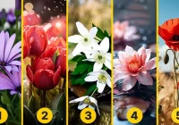 Izvēlieties sev tīkamāko ziedu: tests, kas atklās jūsu personības stipro pusi