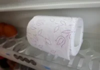 Vācijā tualetes papīru ievieto ledusskapī, un tam ir pamatos iemesls