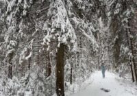 Tāda tipa ziema vēl nebūs bijusi; sinoptiķi paziņo, kas mūs gaida jau tuvākajās nedēļās