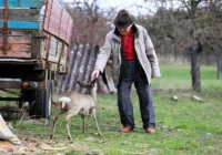 Šīs lietas ir jāizmet pirms Jaunā gada, lai piesaistītu laimi – saraksts