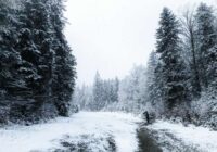 Laikapstākļi mainīsies pavisam strauji. Sinoptiķi nobažījušies par gaidāmo laiki Jaunajā gadā