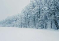 Sinoptiķi paziņo, vai tiešām šī ziema beigsies tā arī nemaz nesākusies