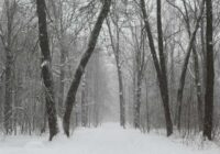 Laiks mainīsies ļoti strauji: meteorologi paziņo par nepatīkamu prognozi par laiku tuvākajās dienās