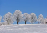 Eksperti atklāj, ka Latvijā tuvākajos ziemas mēnešos varētu sagaidīt -40 grādu aukstumu