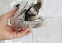 Kāpēc slapju avīzi vajadzētu likt ledusskapī