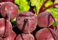 Kāpēc bietes aug mazas un bālas – lielākā daļa dārznieku atkārto vienu būtisku kļūdu