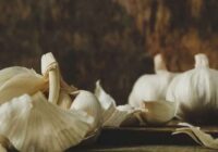 Ķiploku mizas dārzā paveic lielas lietas – pieredzējuši dārzkopji atklāj, kāpēc tās ir jāsavāc, nevis jāizmet