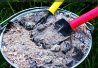TOP 5 mīti par pelniem; kā pareizi un nepareizi barot augus ar pelniem