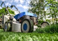 Kā pareizi pļaut zāli, lai zāliens izskatītos lieliski – daudzi pieļauj vienu vienkāršu kļūdu