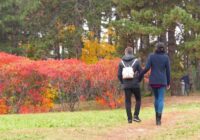 Horoskops 29. oktobrim: Aunam – labas ziņas, Skorpionam – panākumi