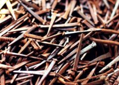 Noderīgs ieteikums, kāpēc augu laistīšanai ūdenim pievienot sarūsējušas naglas Noderīgs ieteikums, kāpēc augu laistīšanai ūdenim pievienot sarūsējušas naglas