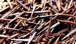 Noderīgs ieteikums, kāpēc augu laistīšanai ūdenim pievienot sarūsējušas naglas Noderīgs ieteikums, kāpēc augu laistīšanai ūdenim pievienot sarūsējušas naglas