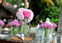 Dārzniekiem ieteikts veikt piecas lietas ar hortenzijām, pirms parādās pirmās salnas pazīmes Dārzniekiem ieteikts veikt piecas lietas ar hortenzijām, pirms parādās pirmās salnas pazīmes