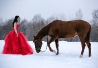 2026. gads būs Sarkanā Uguns Zirga gads: Laiks drosmīgiem lēmumiem un spēcīgām pārmaiņām