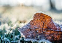 Sinoptiķi laicīgi brīdina: tuvākajās naktīs gaidāms liels sals un aukstums