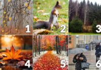 Izvēlies attēlu un uzzini, kas tevi sagaida 2025. gada novembrī