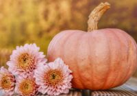 Horoskops 1. novembrim: Vērsim – plāni tiks izjaukti, Dvīņiem – veiksme